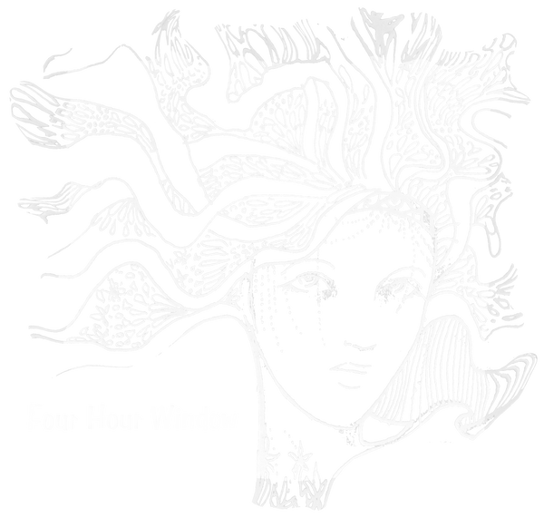 Four Hour Window