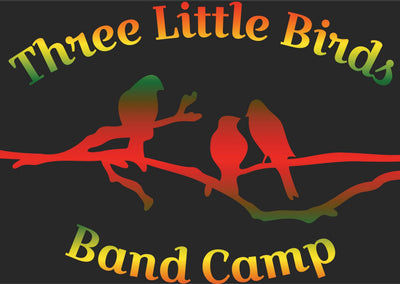 Three Little Birds Band Camp