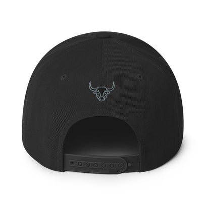 Manycolors Embroidered Snapback