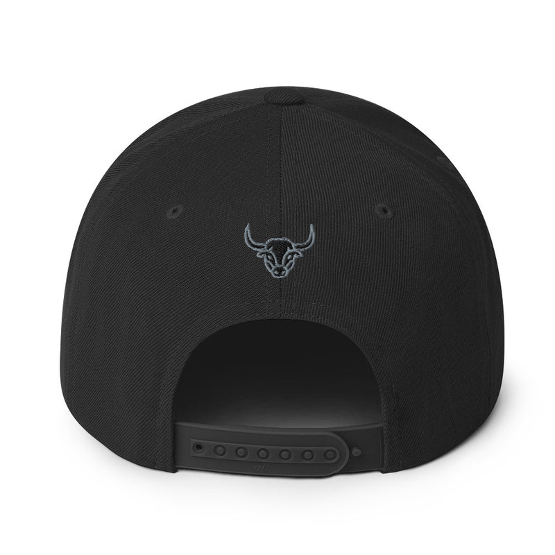 Manycolors Embroidered Snapback