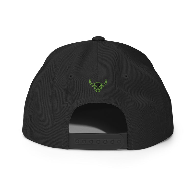 Headspin Snapback