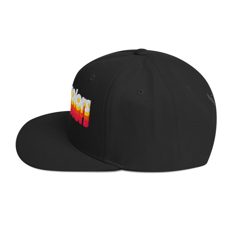 Manycolors Embroidered Snapback