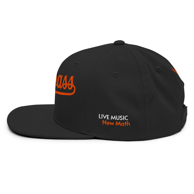 BandPass Embroidered Snapback Hat