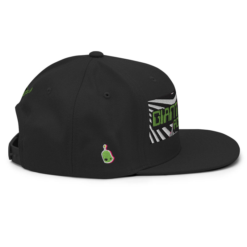 Headspin Snapback