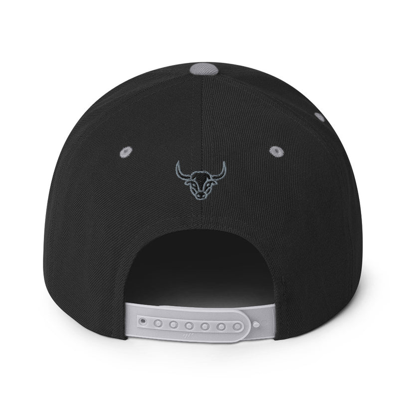 Manycolors Embroidered Snapback