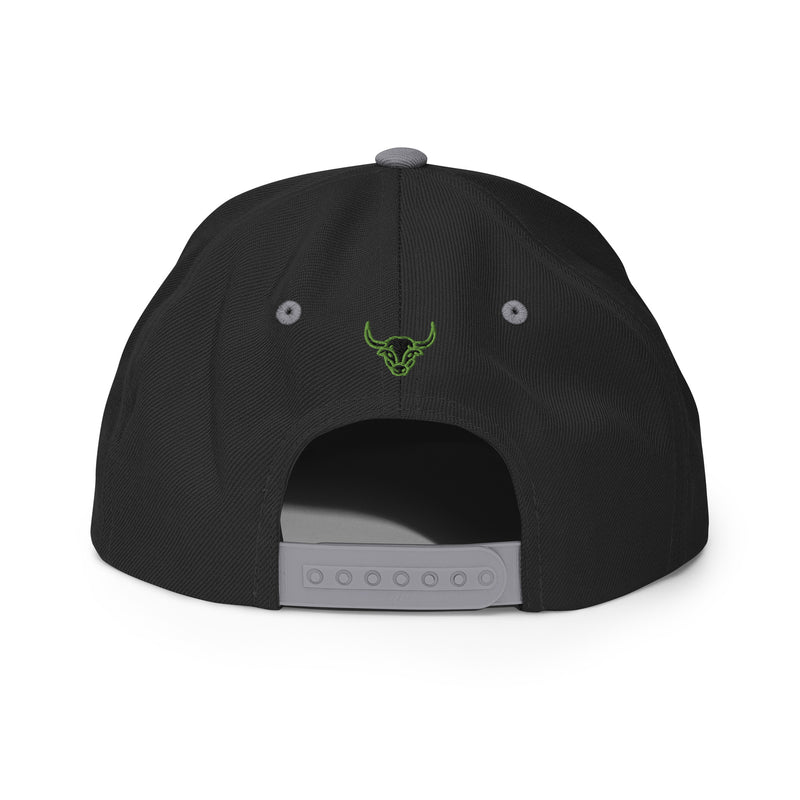 Headspin Snapback