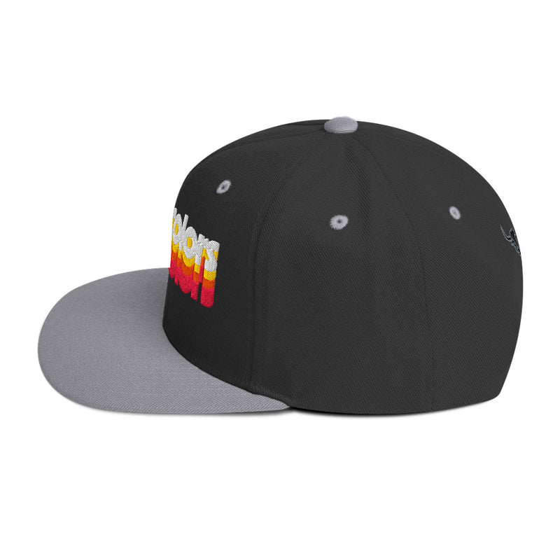 Manycolors Embroidered Snapback