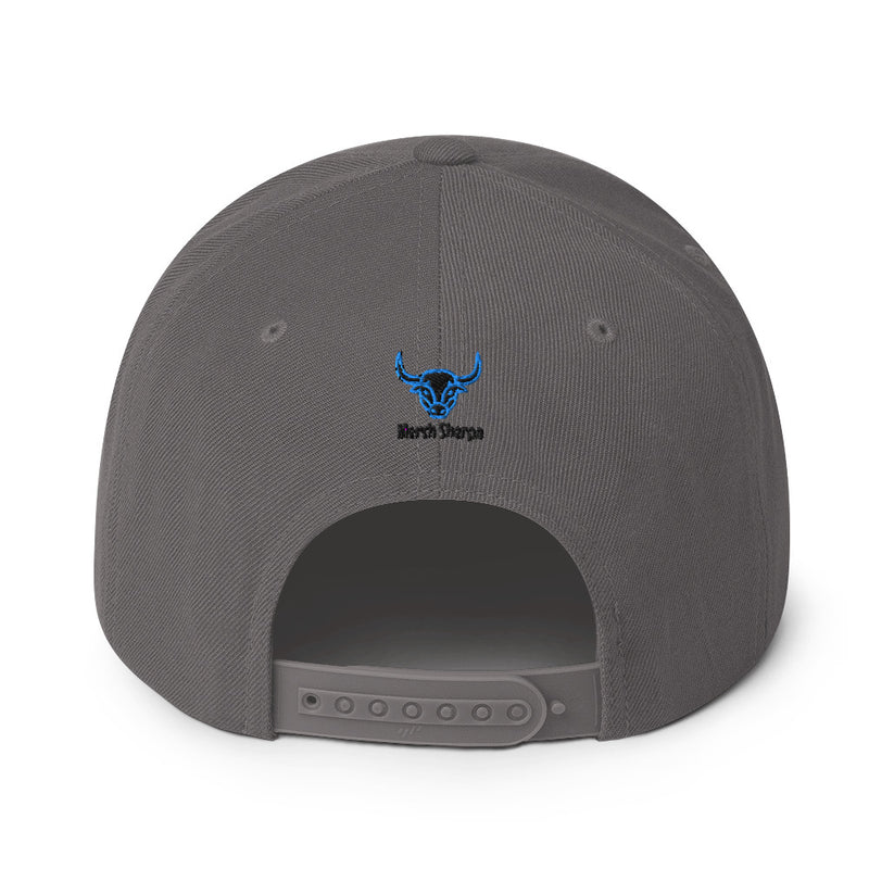 CTTT Snapback