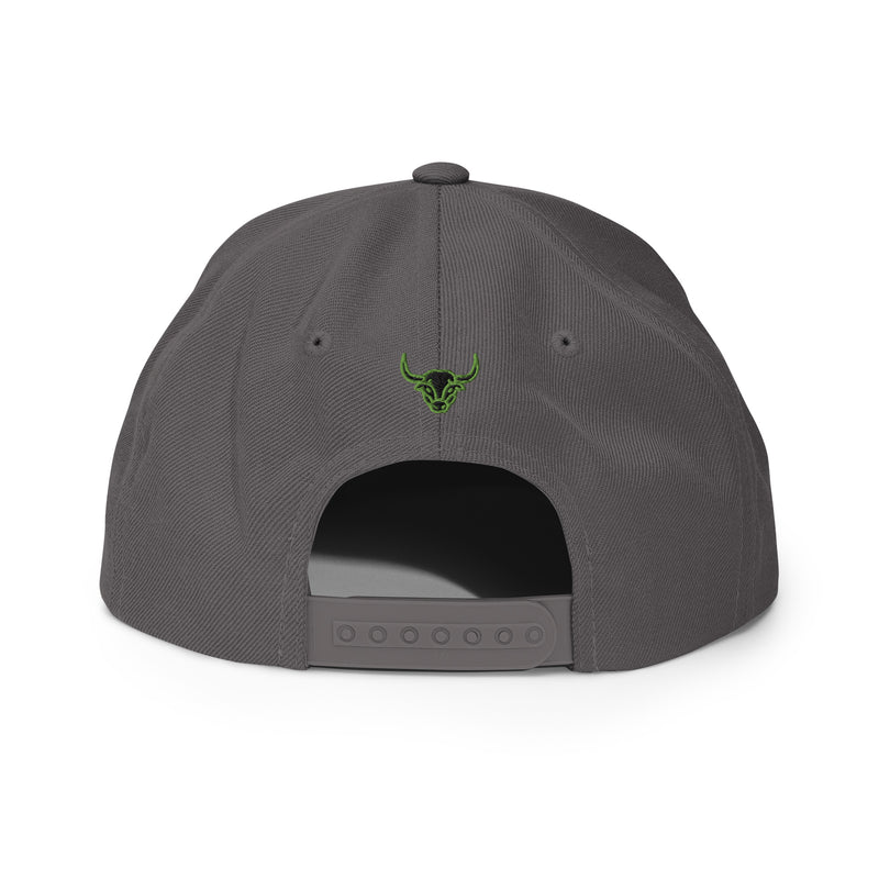 Headspin Snapback