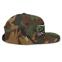 Headspin Snapback