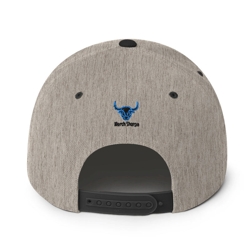 CTTT Snapback