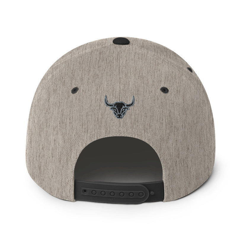 Manycolors Embroidered Snapback