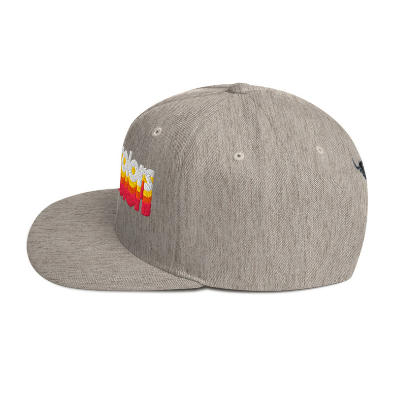 Manycolors Embroidered Snapback