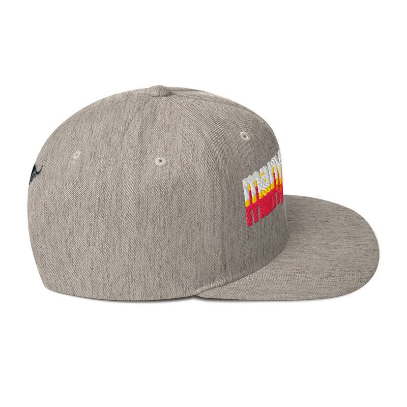 Manycolors Embroidered Snapback