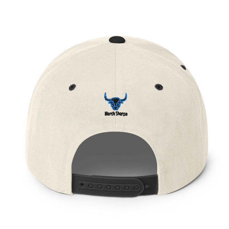 CTTT Snapback