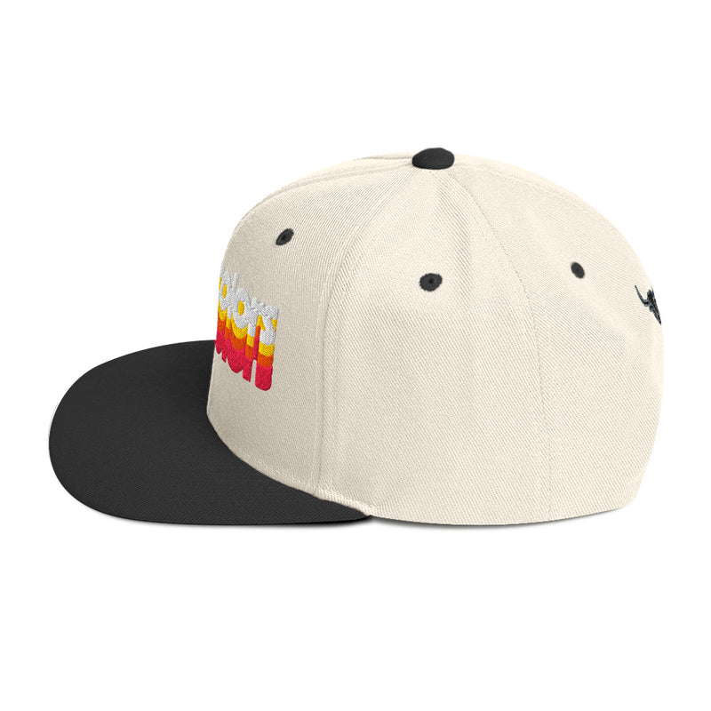 Manycolors Embroidered Snapback