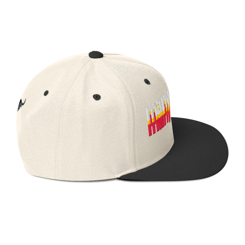 Manycolors Embroidered Snapback