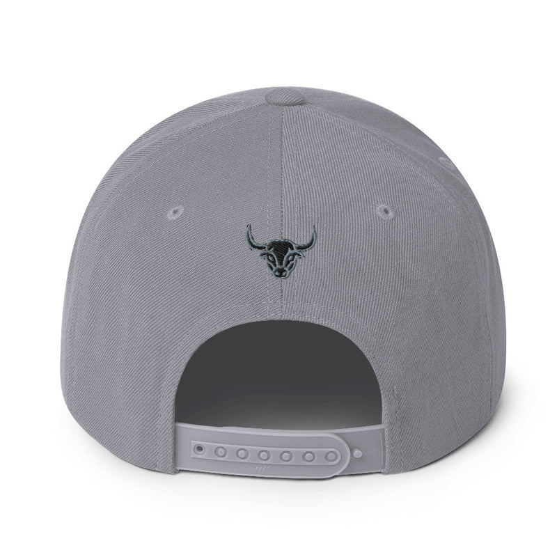 Manycolors Embroidered Snapback