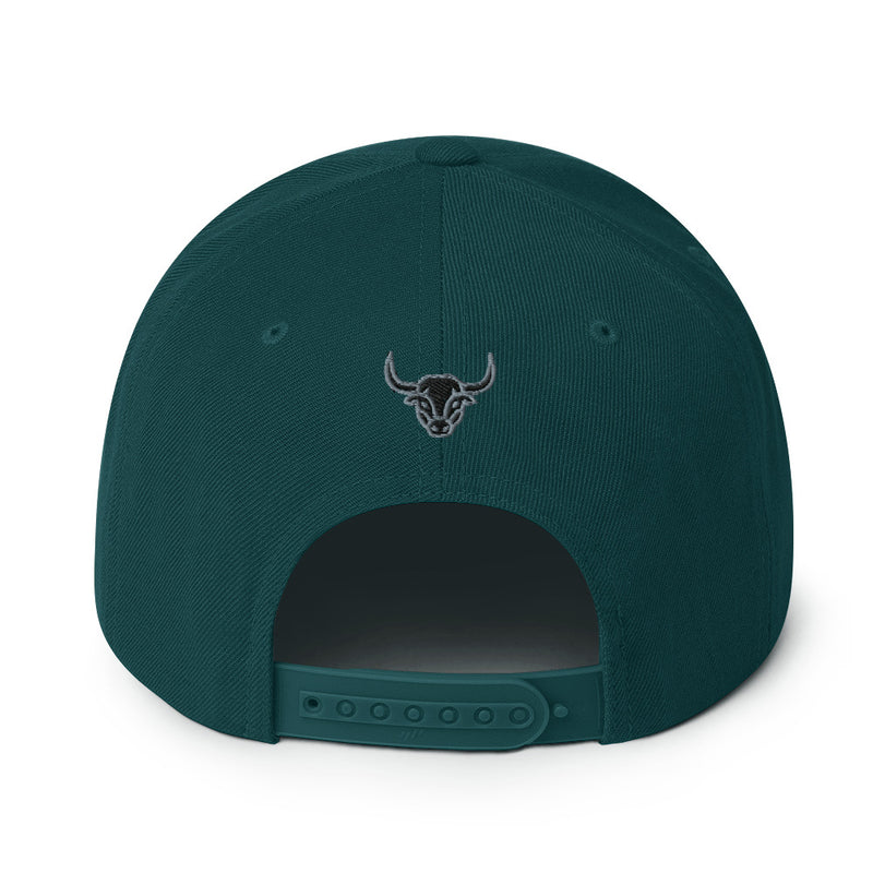 Manycolors Embroidered Snapback