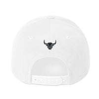 Manycolors Embroidered Snapback