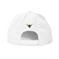 Headspin Snapback
