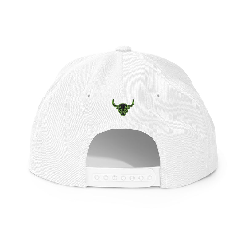 Headspin Snapback