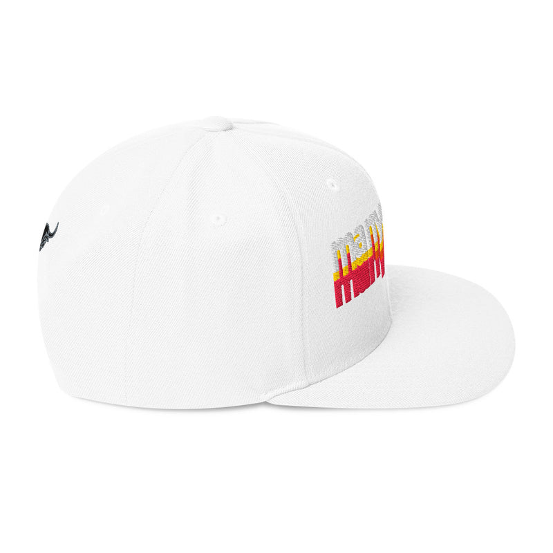 Manycolors Embroidered Snapback
