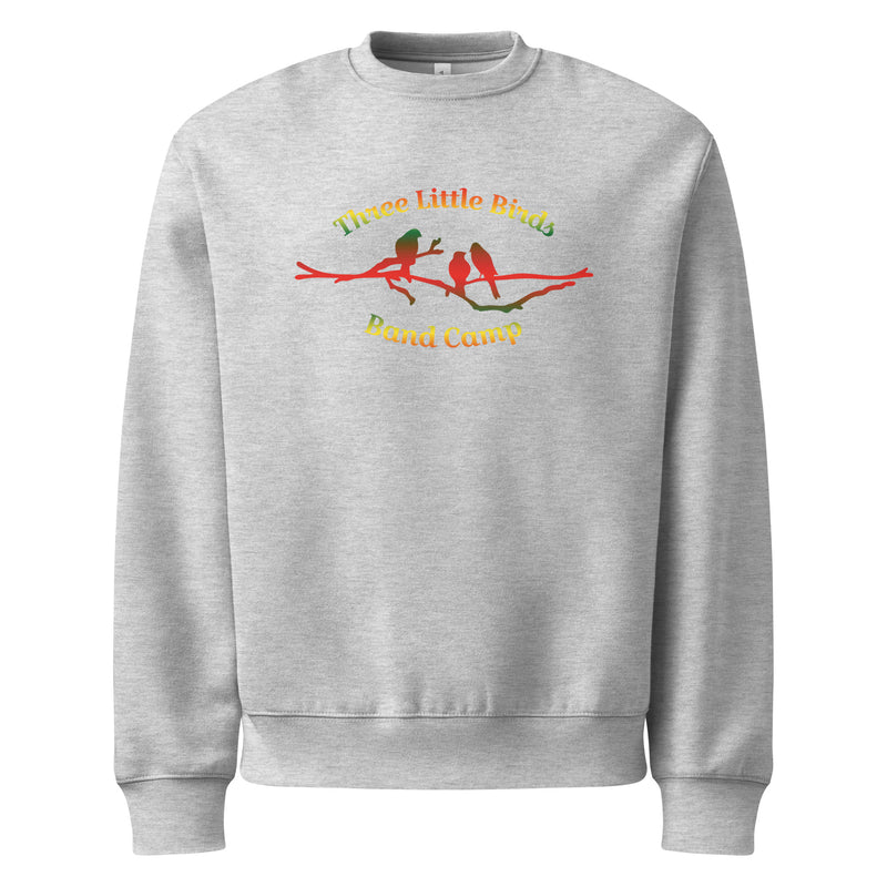 Three Little Birds Oversized Sweatshirt