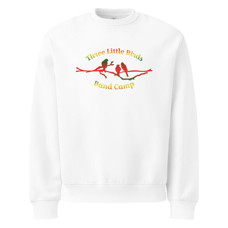 Three Little Birds Oversized Sweatshirt